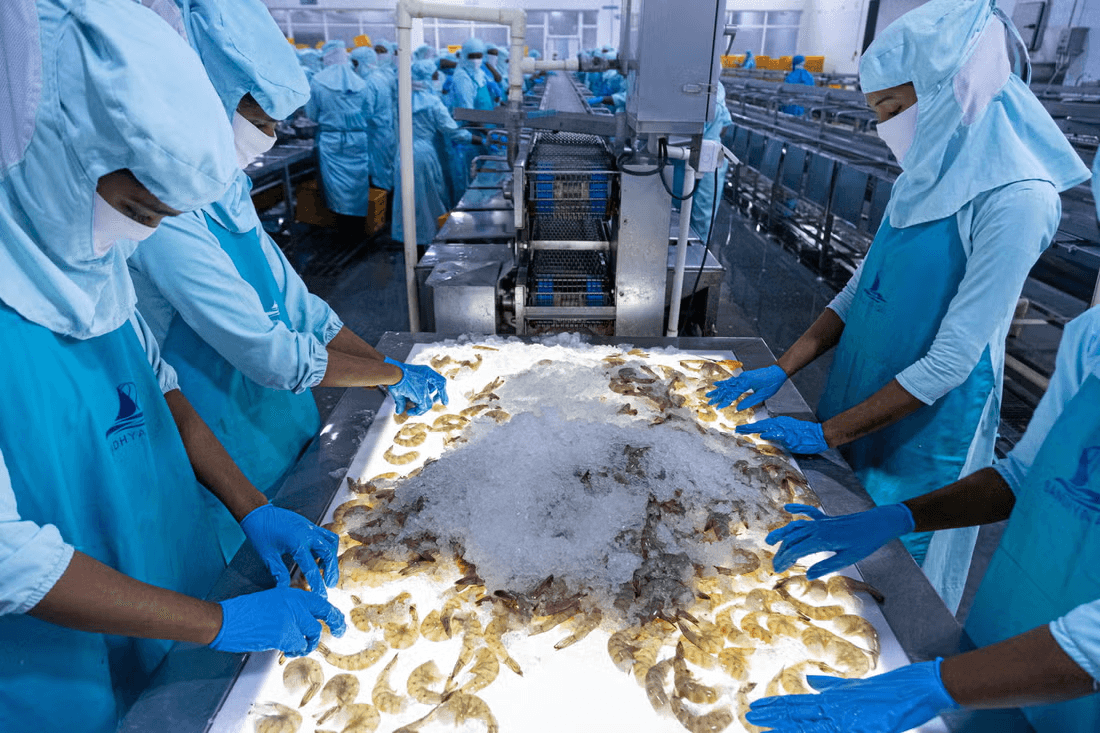 Digha Seafood Exports Pvt Ltd